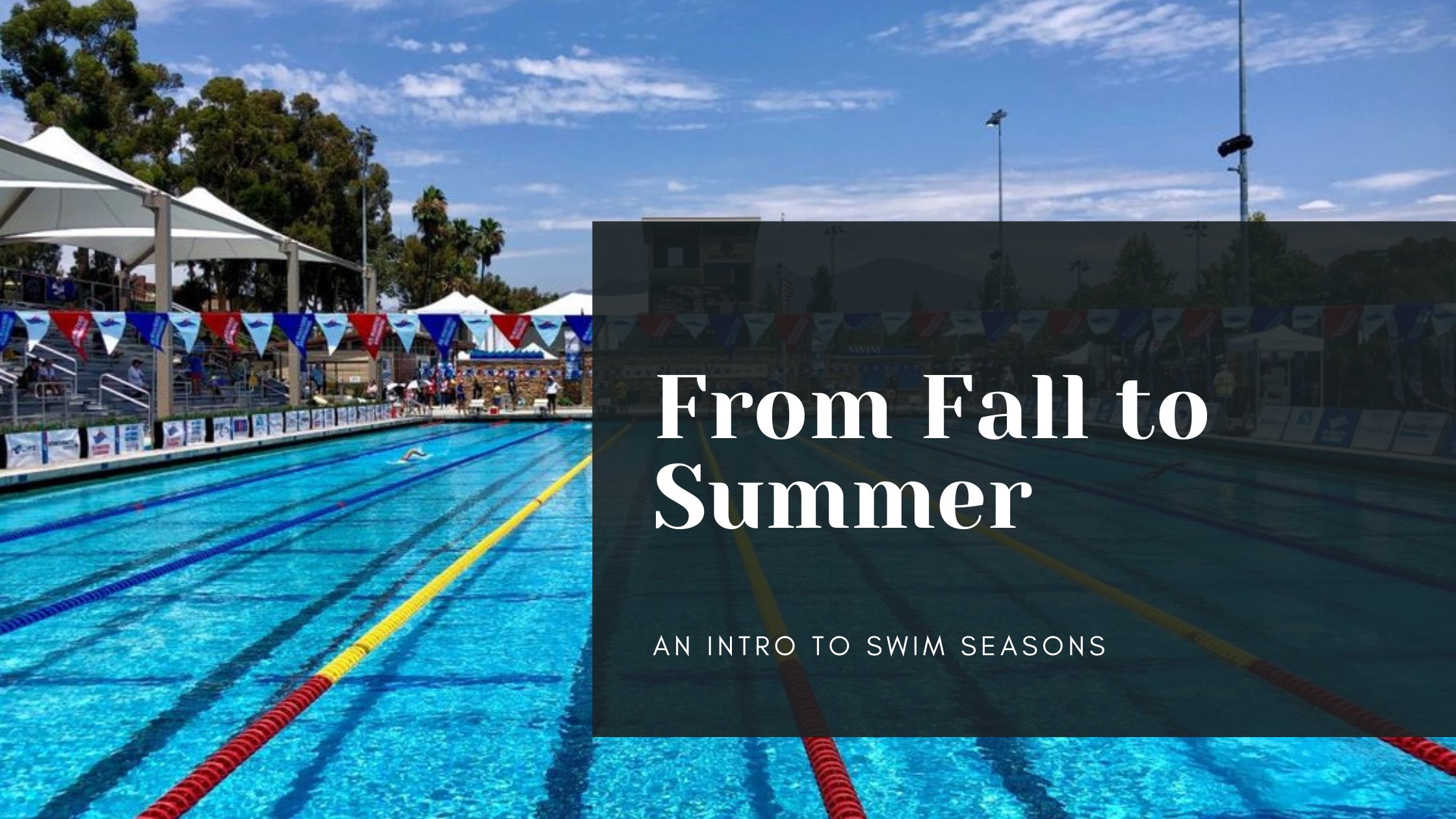 From Fall to Summer: An Intro to Swim Seasons